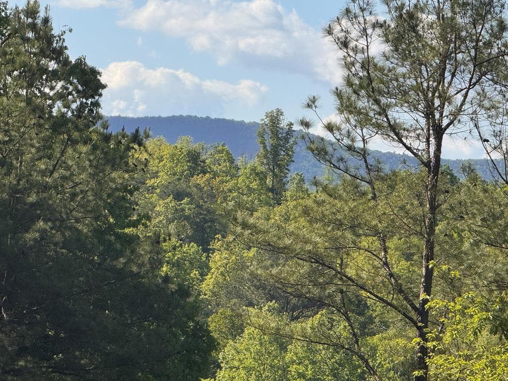 Lot 2 Grassy Creek Road, Copperhill TN 37317 - Primary photo