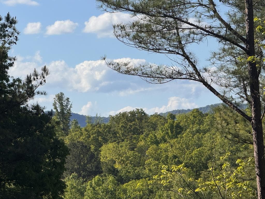 Lot 2 Grassy Creek Road, Copperhill TN 37317 - Photo