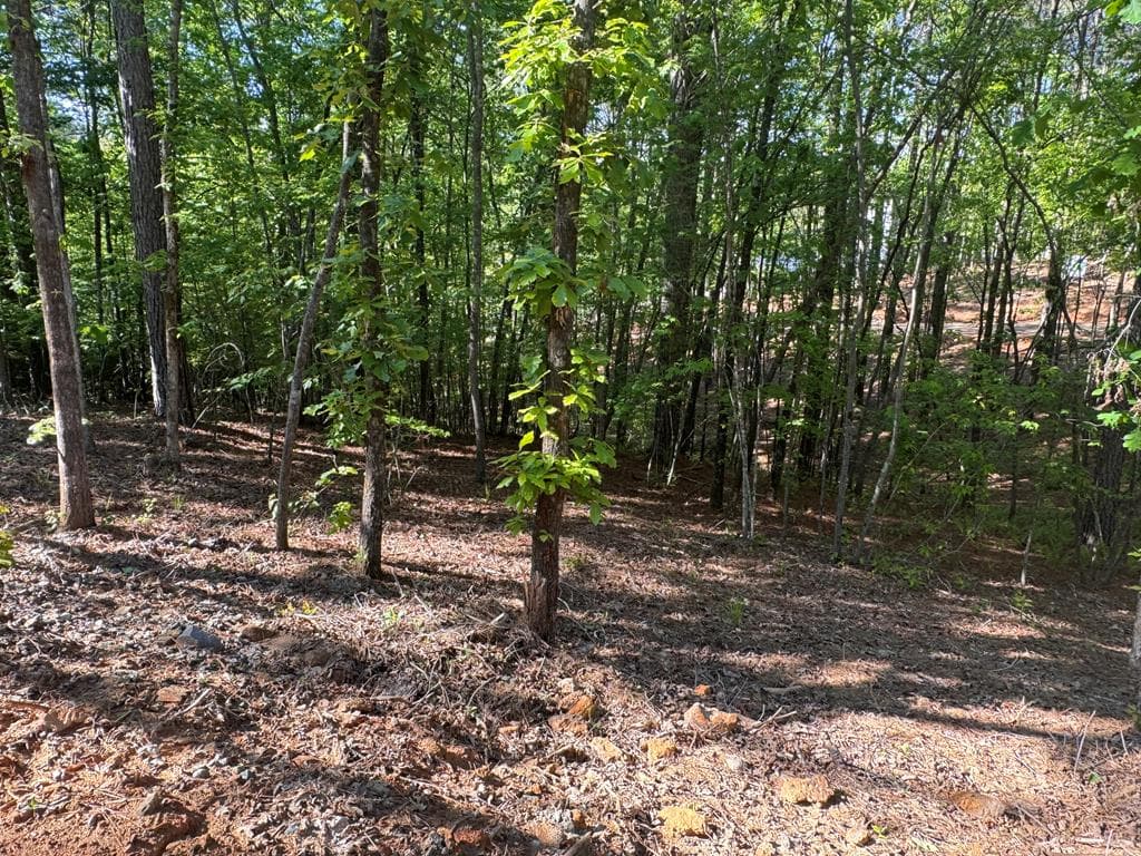 Lot 3 Grassy Creek Road, Copperhill TN 37317 - Photo
