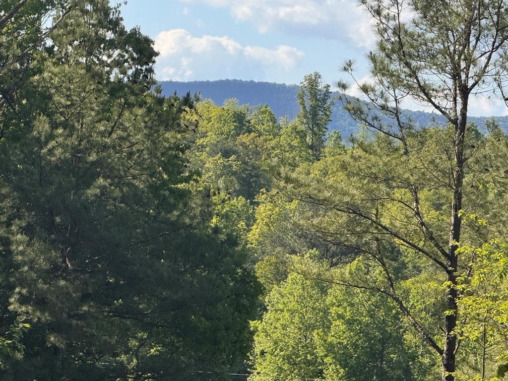 Lot 3 Grassy Creek Road, Copperhill TN 37317 - Photo