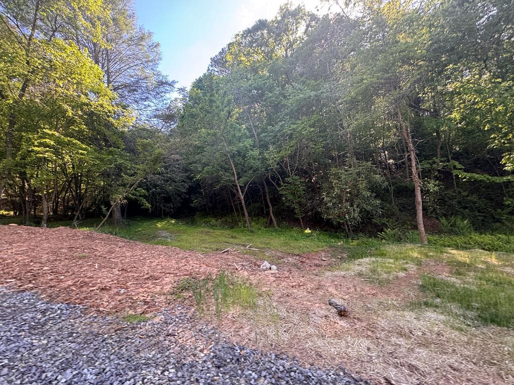 Lot 3 Grassy Creek Road, Copperhill TN 37317 - Photo