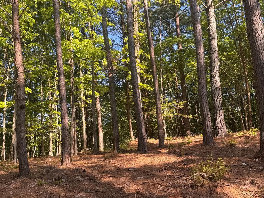 Lot 3 Grassy Creek Road, Copperhill TN 37317 - Photo