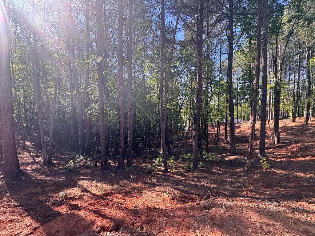 Lot 4 Grassy Creek Road, Copperhill TN 37317 - Photo