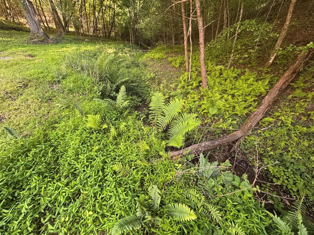 Lot 4 Grassy Creek Road, Copperhill TN 37317 - Photo