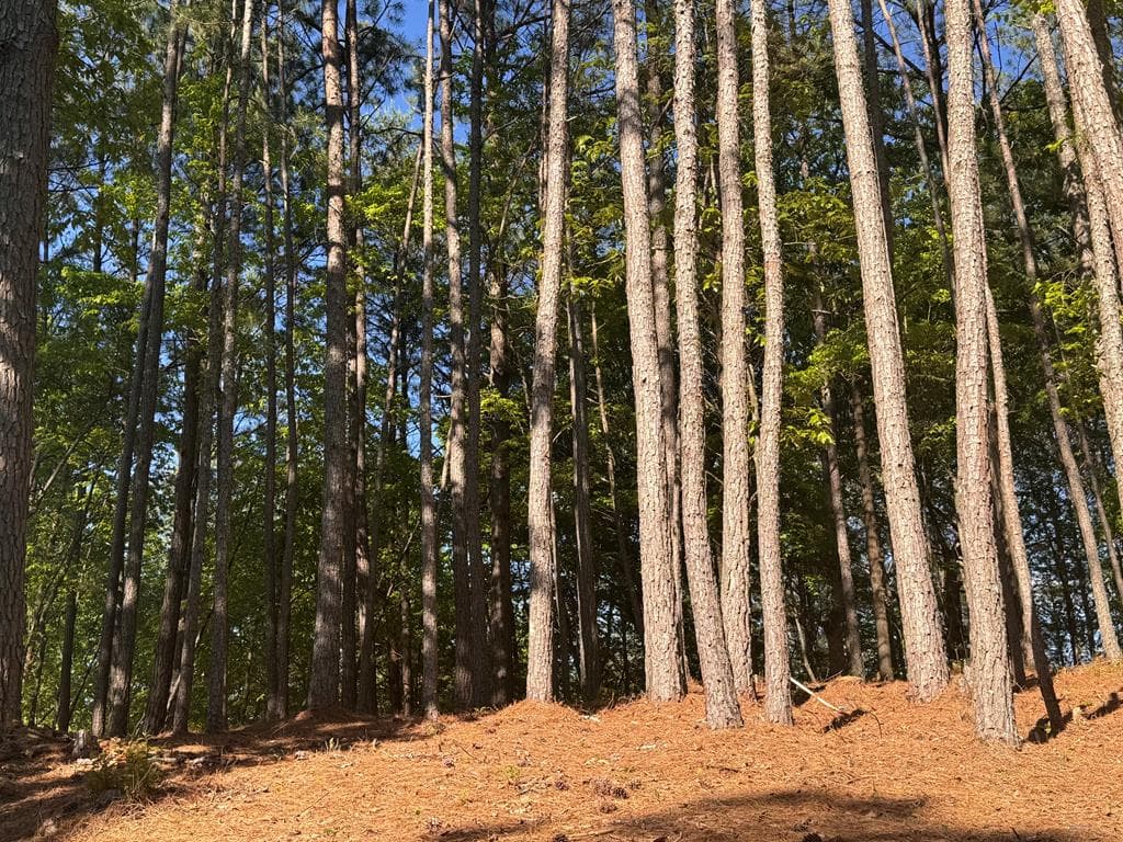 Lot 4 Grassy Creek Road, Copperhill TN 37317 - Photo