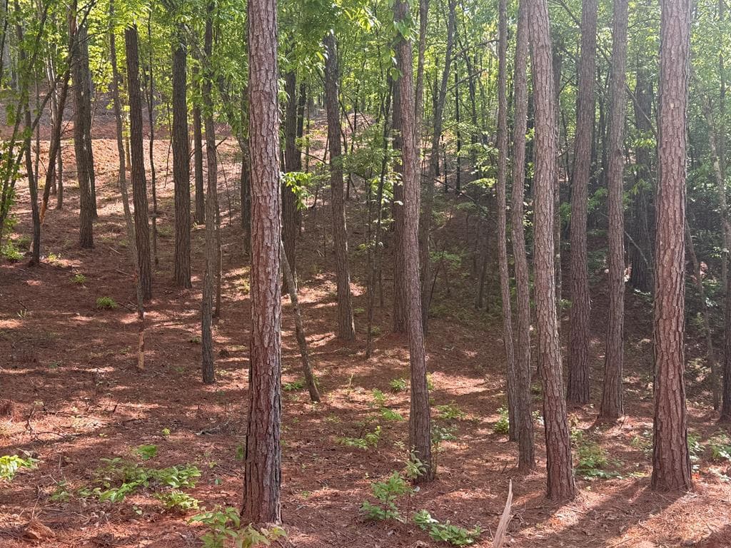 Lot 4 Grassy Creek Road, Copperhill TN 37317 - Photo