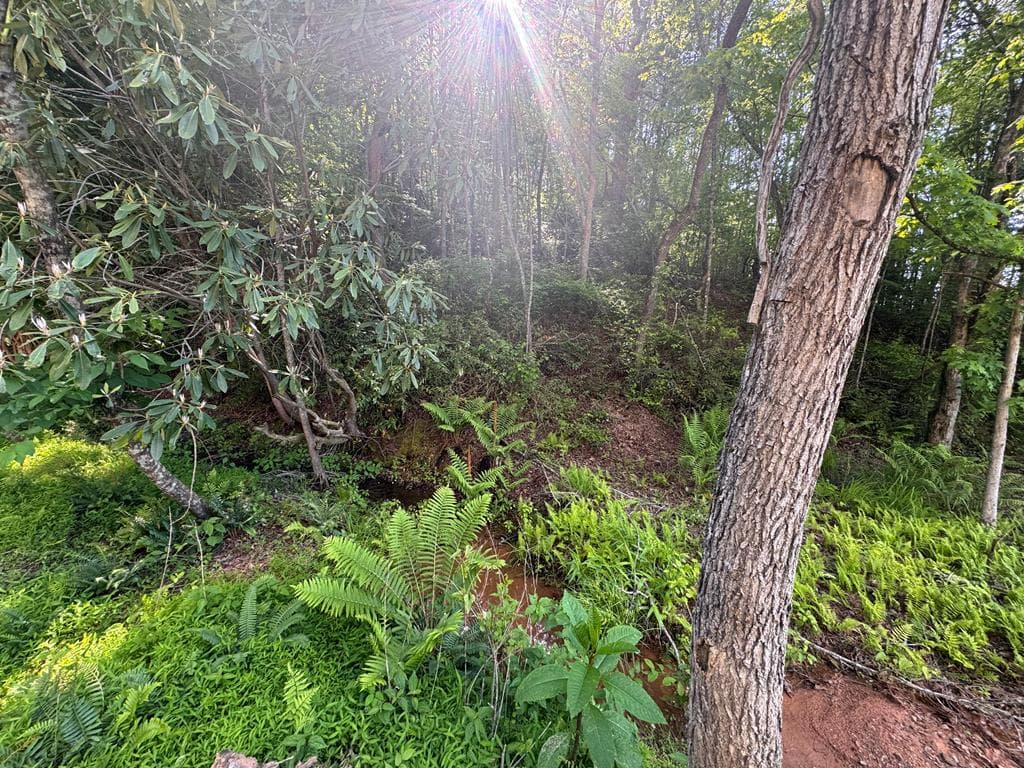 Lot 5 Grassy Creek Road, Copperhill TN 37317 - Photo