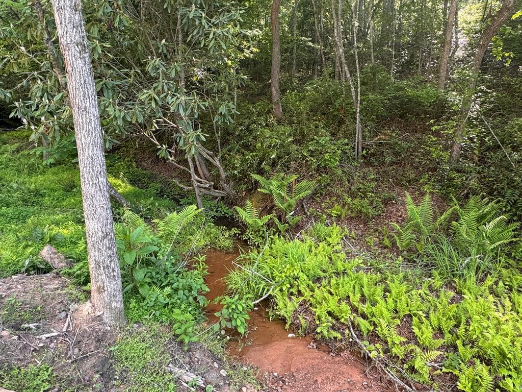 Lot 5 Grassy Creek Road, Copperhill TN 37317 - Photo