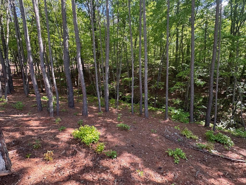 Lot 5 Grassy Creek Road, Copperhill TN 37317 - Photo