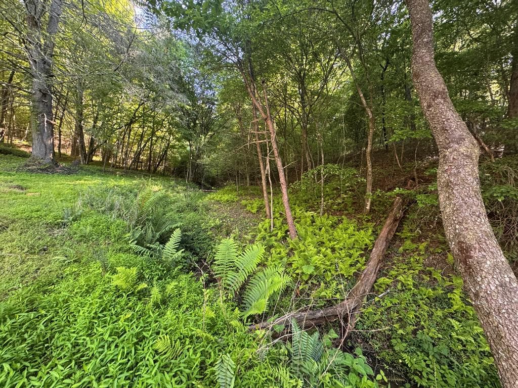Lot 5 Grassy Creek Road, Copperhill TN 37317 - Photo