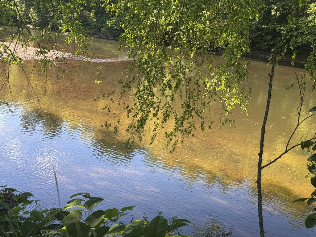 Lot 5 Grassy Creek Road, Copperhill TN 37317 - Photo