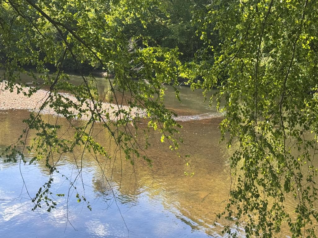 Lot 5 Grassy Creek Road, Copperhill TN 37317 - Photo