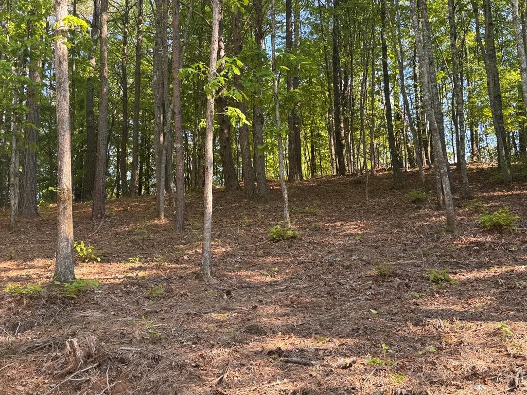 Lot 5 Grassy Creek Road, Copperhill TN 37317 - Photo