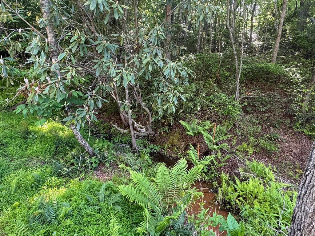 Lot 5 Grassy Creek Road, Copperhill TN 37317 - Photo