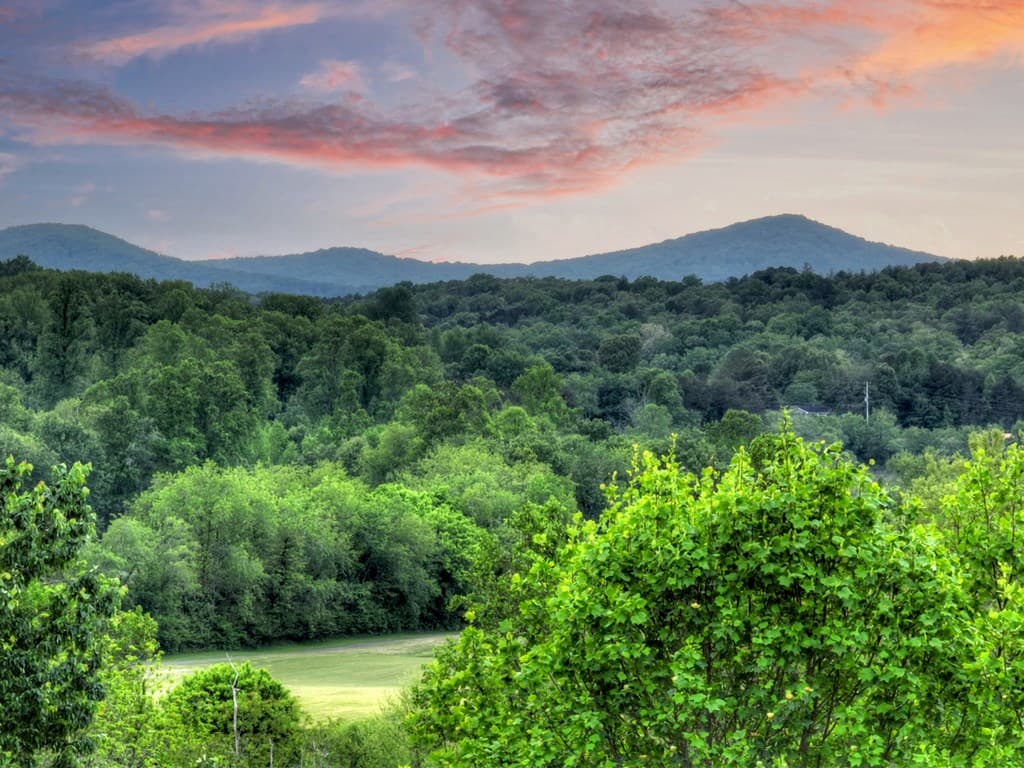 238 Old Farm View, Blairsville GA 30512 - Photo