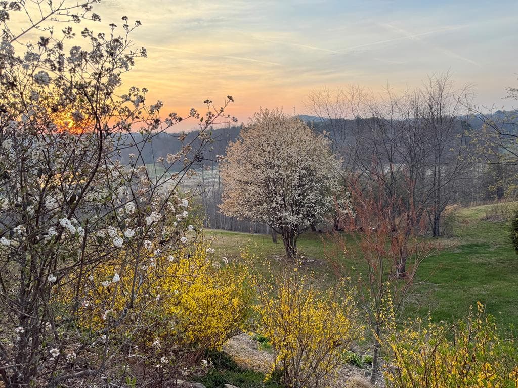 238 Old Farm View, Blairsville GA 30512 - Photo