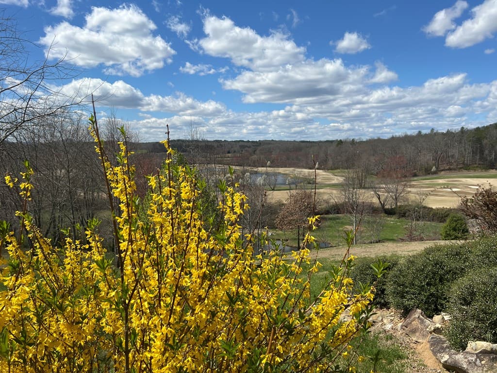 238 Old Farm View, Blairsville GA 30512 - Photo