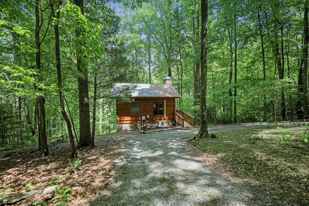 163 Little Rock Creek Trail, Cherry Log GA 30522 - Photo