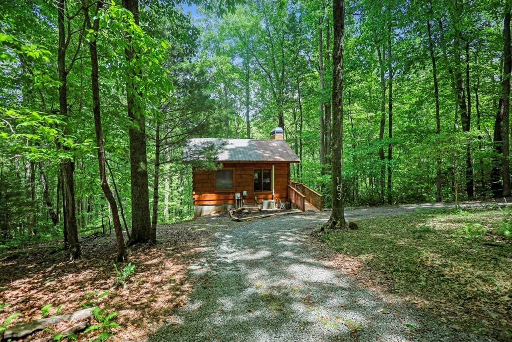 163 Little Rock Creek Trail, Cherry Log GA 30522 - Photo