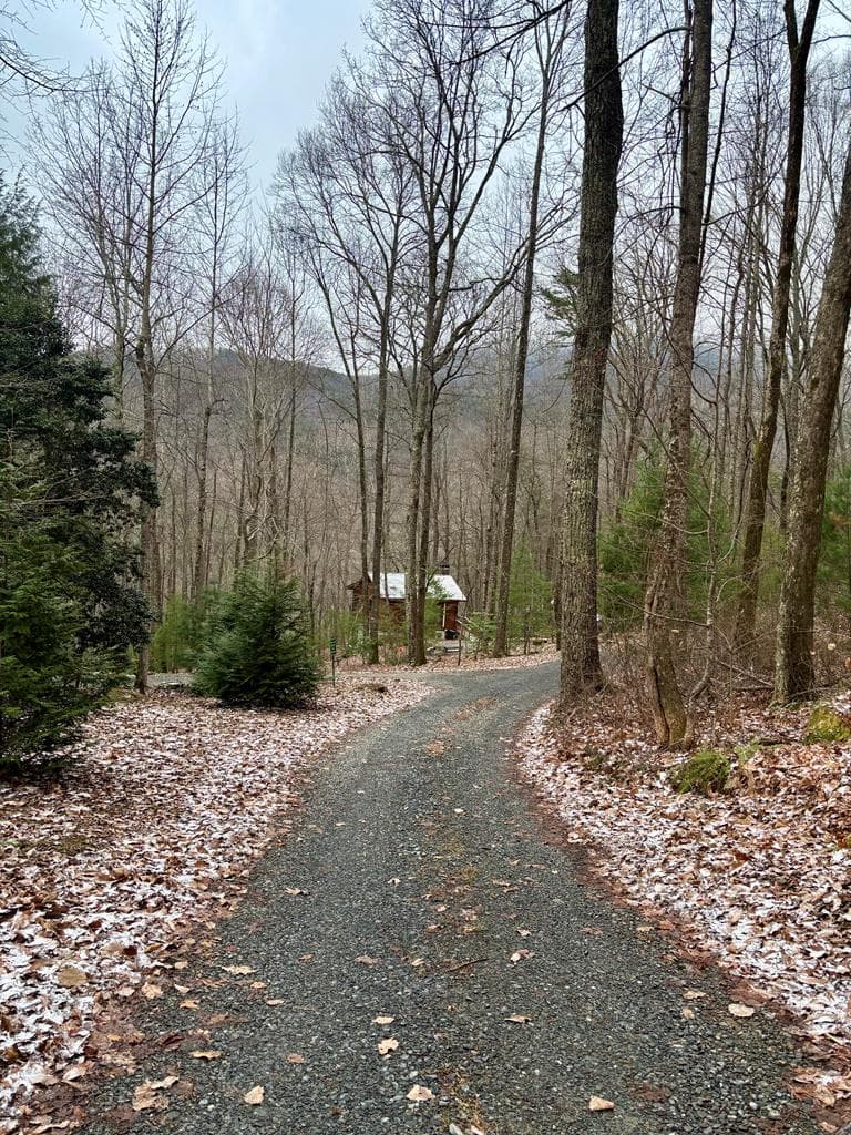 163 Little Rock Creek Trail, Cherry Log GA 30522 - Photo