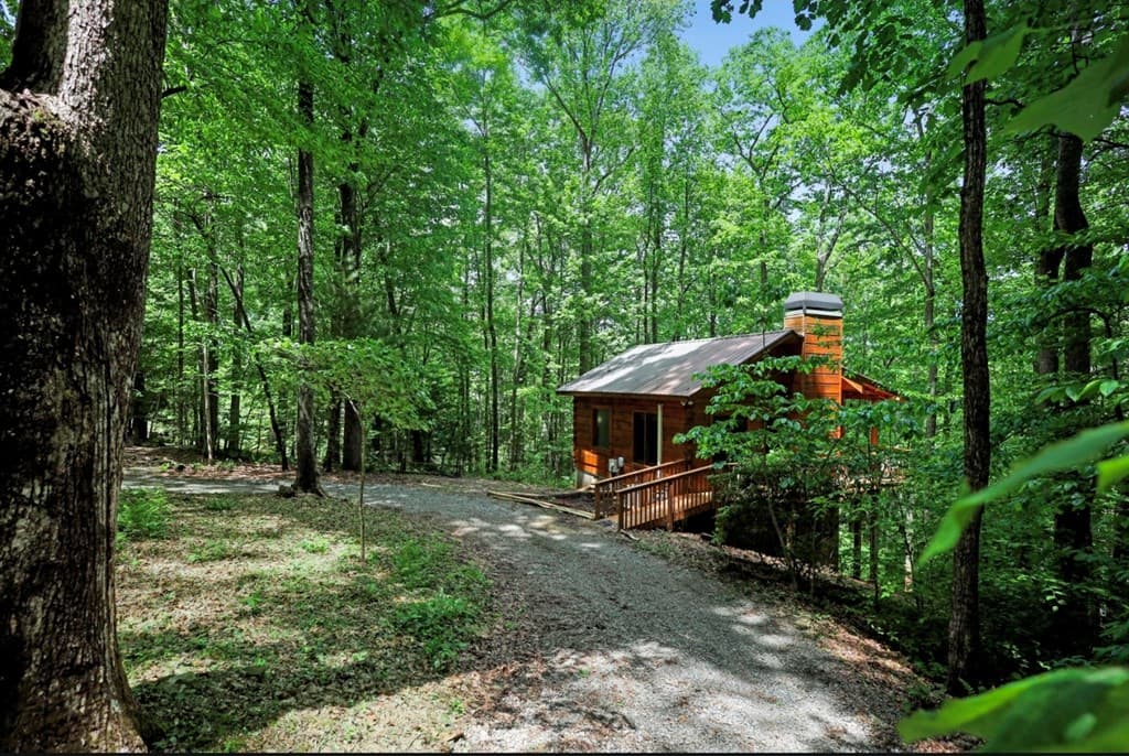163 Little Rock Creek Trail, Cherry Log GA 30522 - Photo