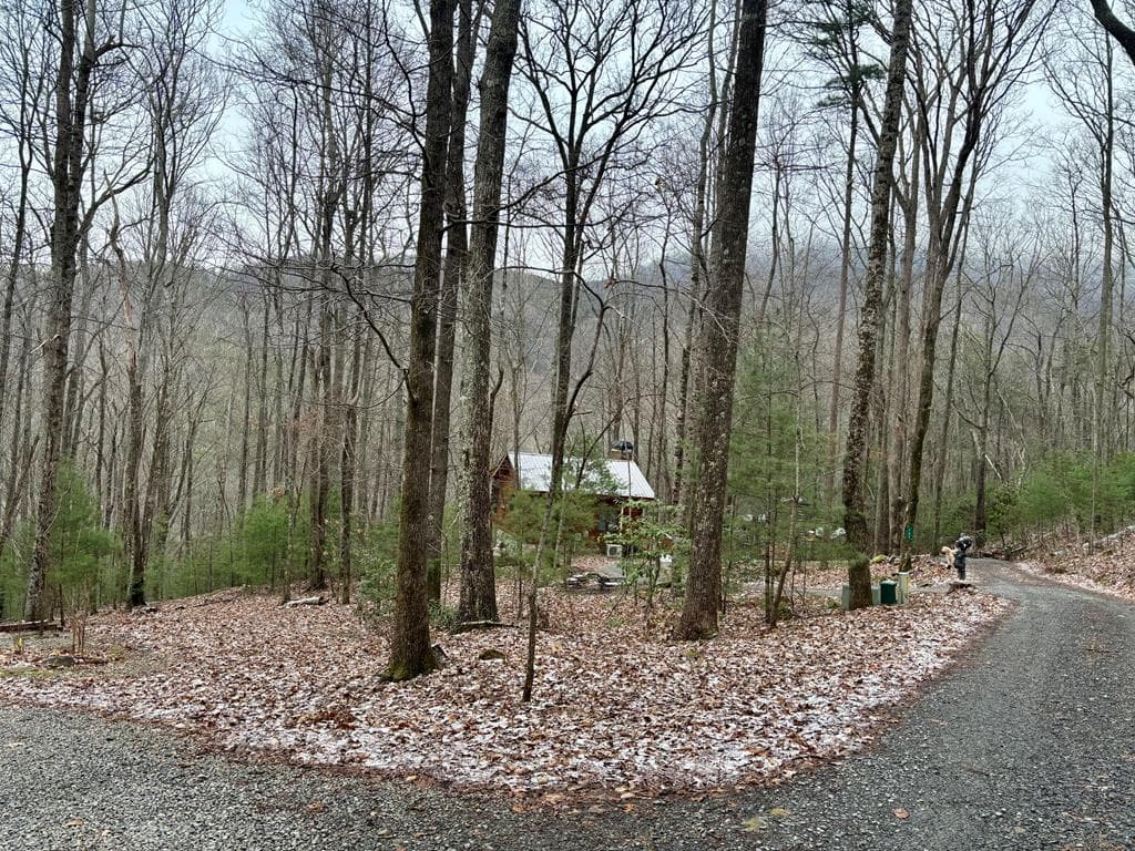 163 Little Rock Creek Trail, Cherry Log GA 30522 - Photo