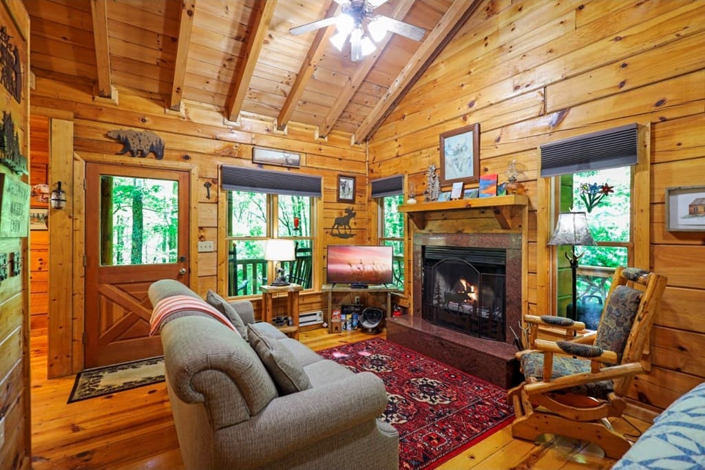 163 Little Rock Creek Trail, Cherry Log GA 30522 - Photo