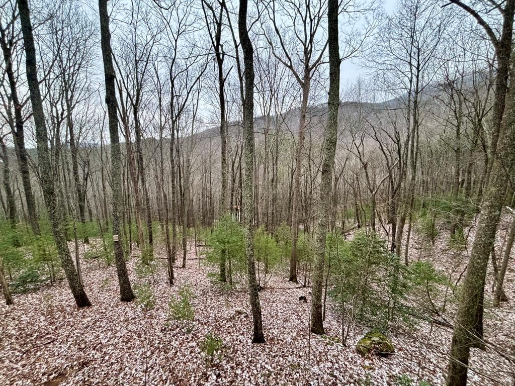163 Little Rock Creek Trail, Cherry Log GA 30522 - Photo