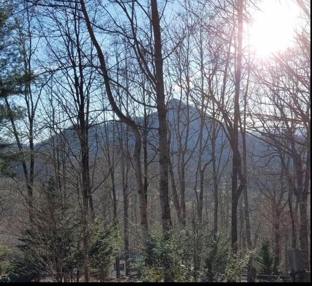 2532 Hunter Road, Hiawassee GA 30546 - Photo