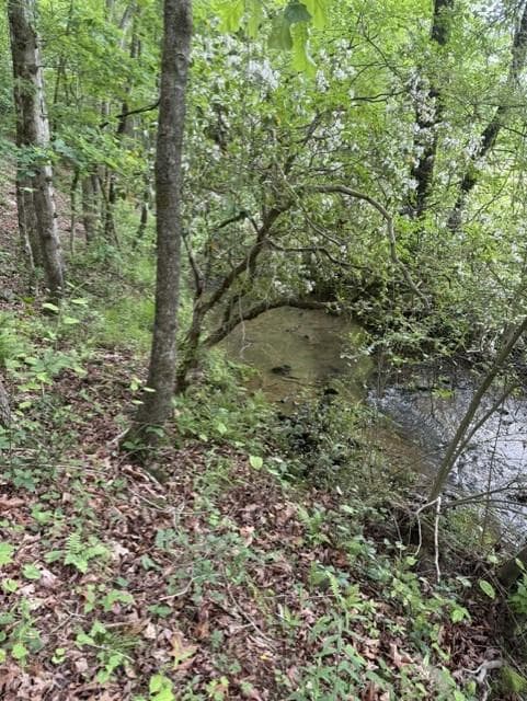 255 Clear Creek Preserve Way, Ellijay GA 30536 - Photo