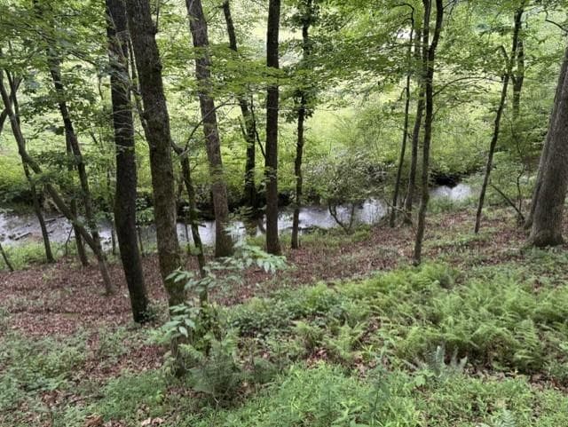 255 Clear Creek Preserve Way, Ellijay GA 30536 - Photo