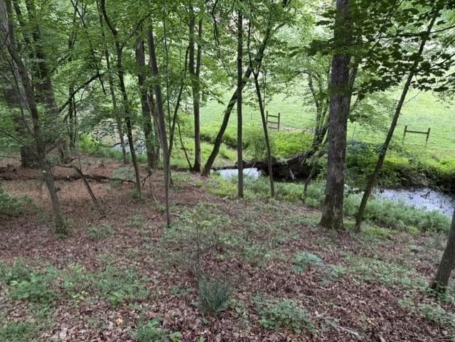 255 Clear Creek Preserve Way, Ellijay GA 30536 - Photo