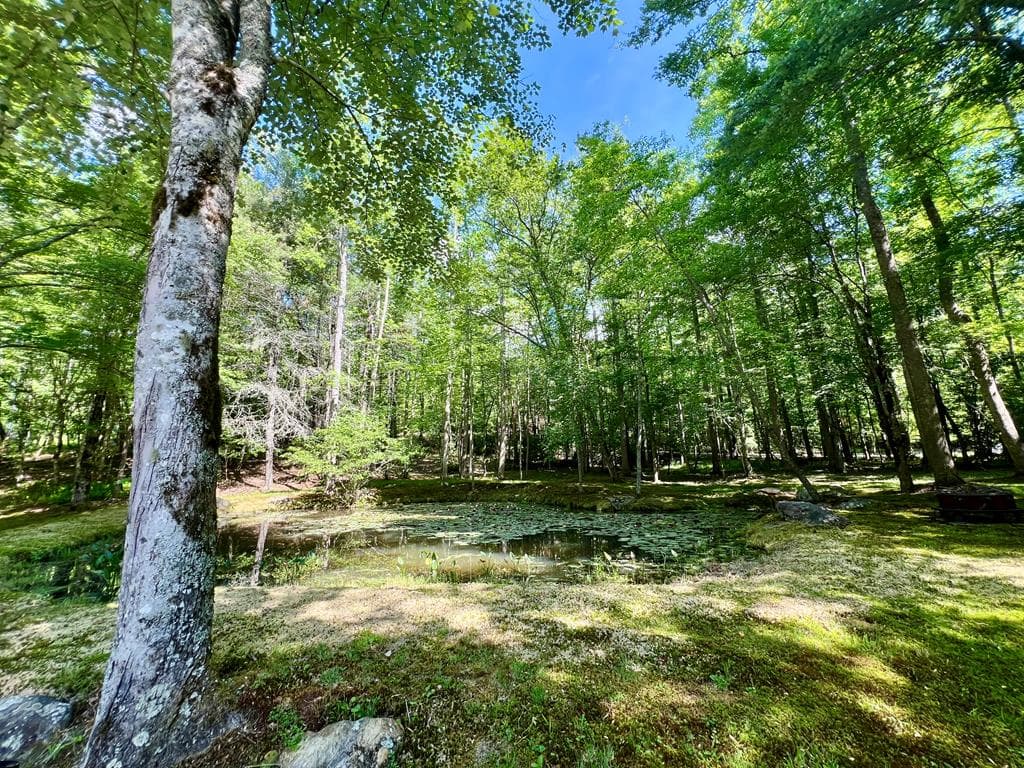 504 Compass Creek Drive, Hayesville NC 28904 - Photo
