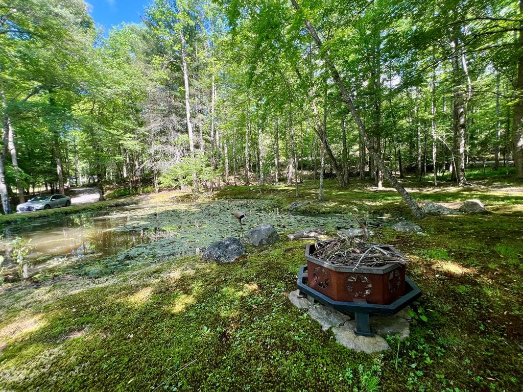 504 Compass Creek Drive, Hayesville NC 28904 - Photo