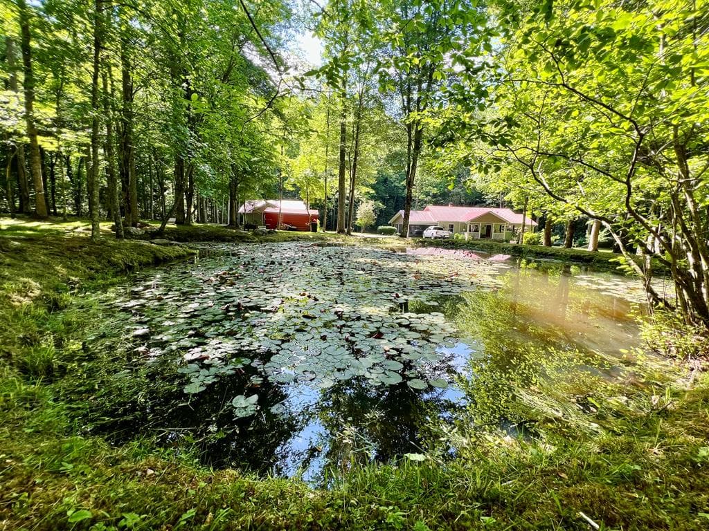 504 Compass Creek Drive, Hayesville NC 28904 - Photo