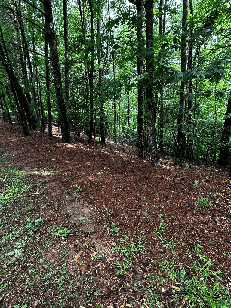 00 Lazy River Lane, Ellijay GA 30540 - Photo