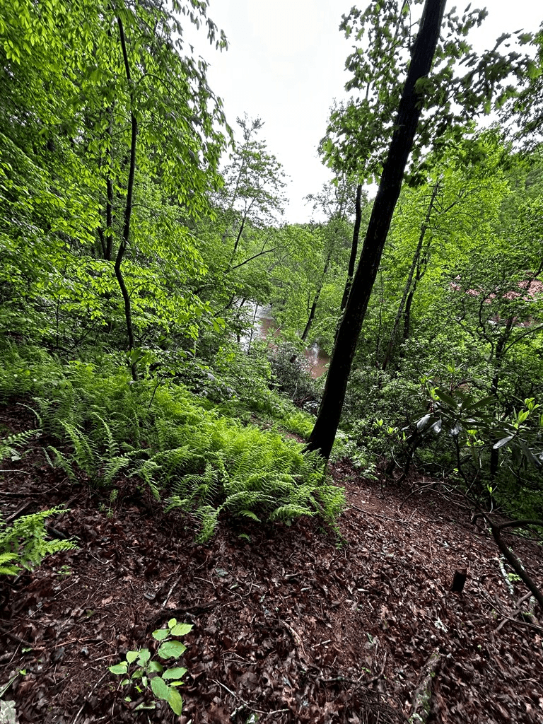 00 Lazy River Lane, Ellijay GA 30540 - Photo