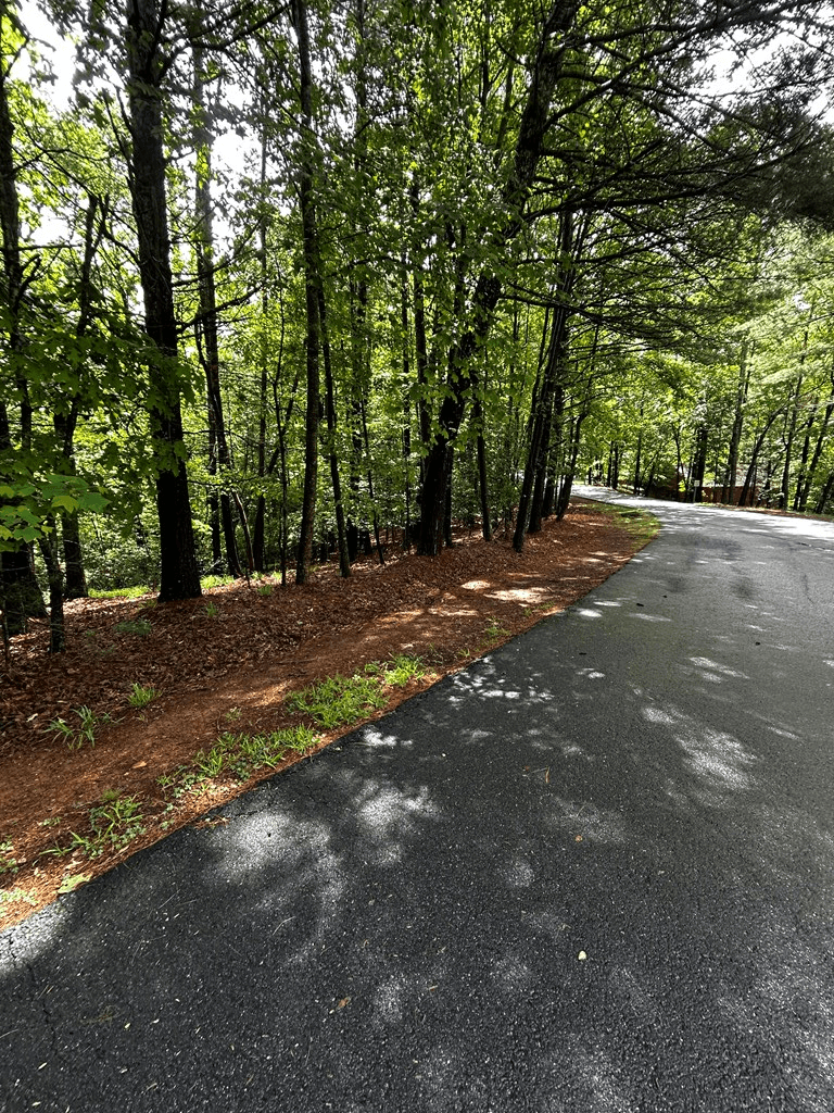 00 Lazy River Lane, Ellijay GA 30540 - Photo