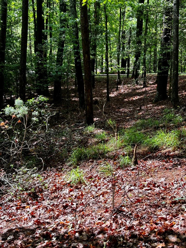 00 Lazy River Lane, Ellijay GA 30540 - Photo
