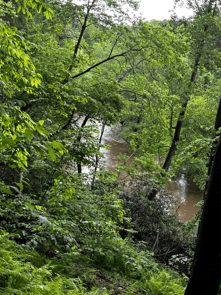 00 Lazy River Lane, Ellijay GA 30540 - Photo