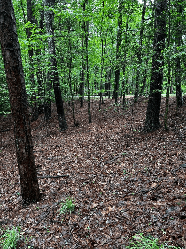 00 Lazy River Lane, Ellijay GA 30540 - Photo