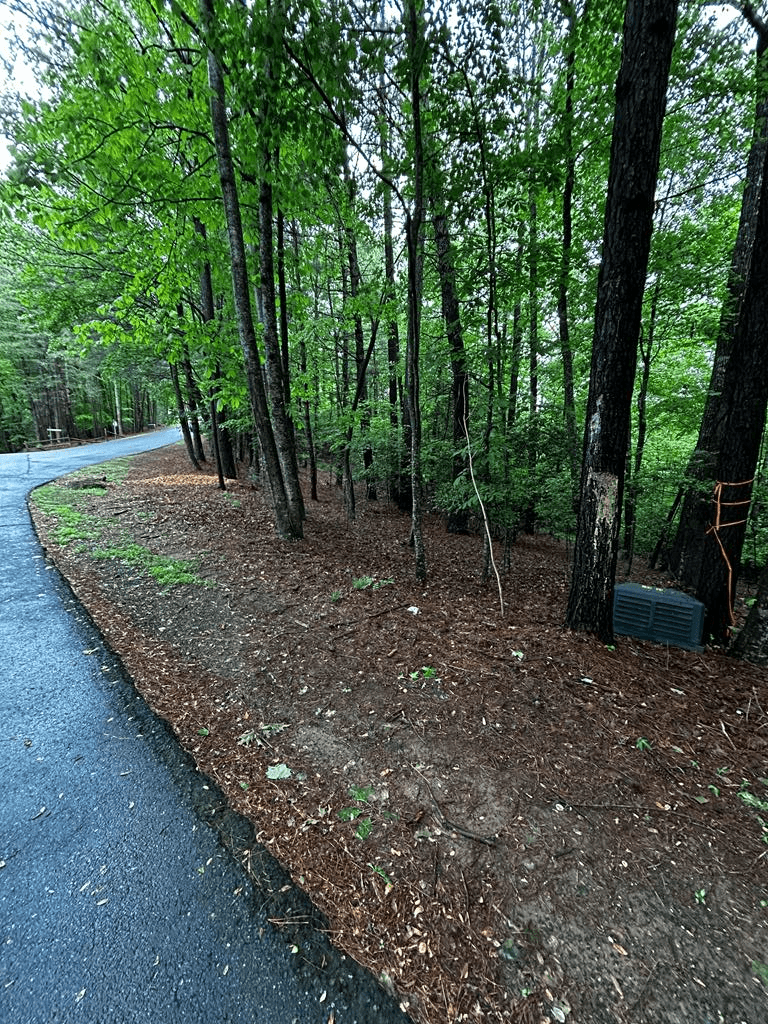 00 Lazy River Lane, Ellijay GA 30540 - Primary photo