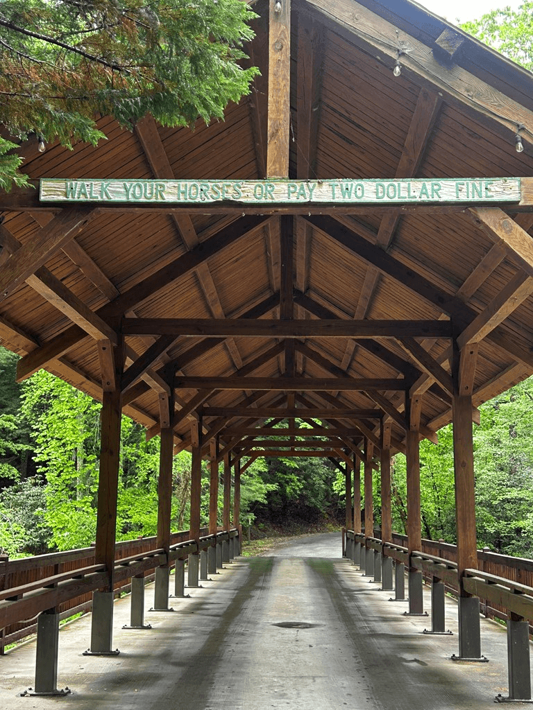 00 Lazy River Lane, Ellijay GA 30540 - Photo