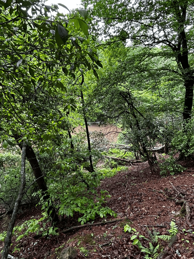 00 Lazy River Lane, Ellijay GA 30540 - Photo
