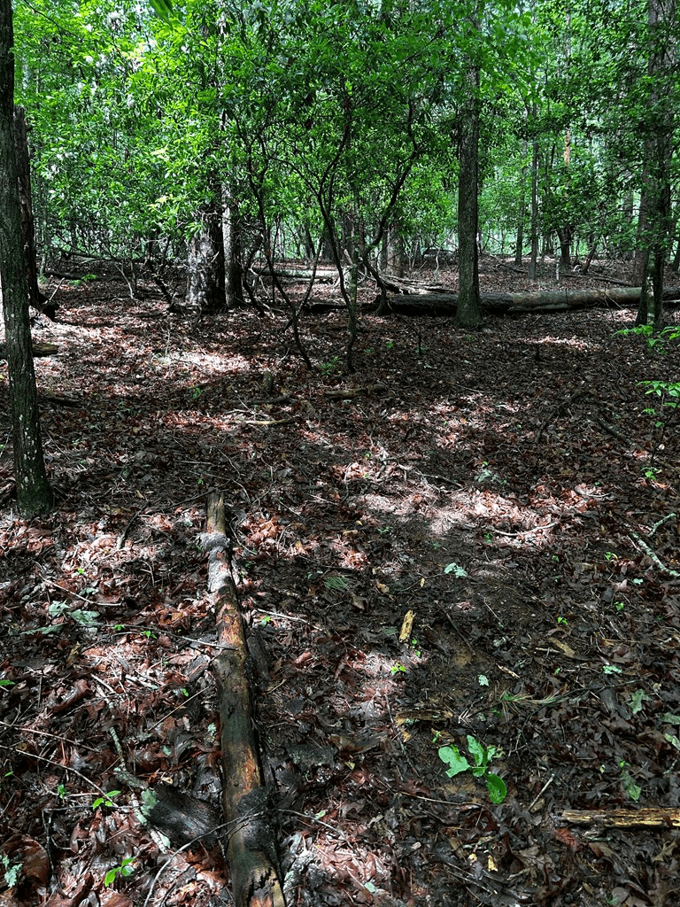 00 Lazy River Lane, Ellijay GA 30540 - Photo