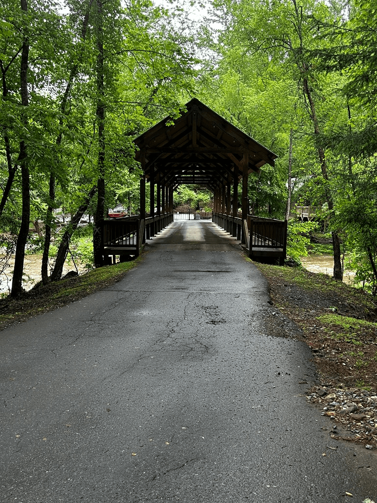 00 Lazy River Lane, Ellijay GA 30540 - Photo