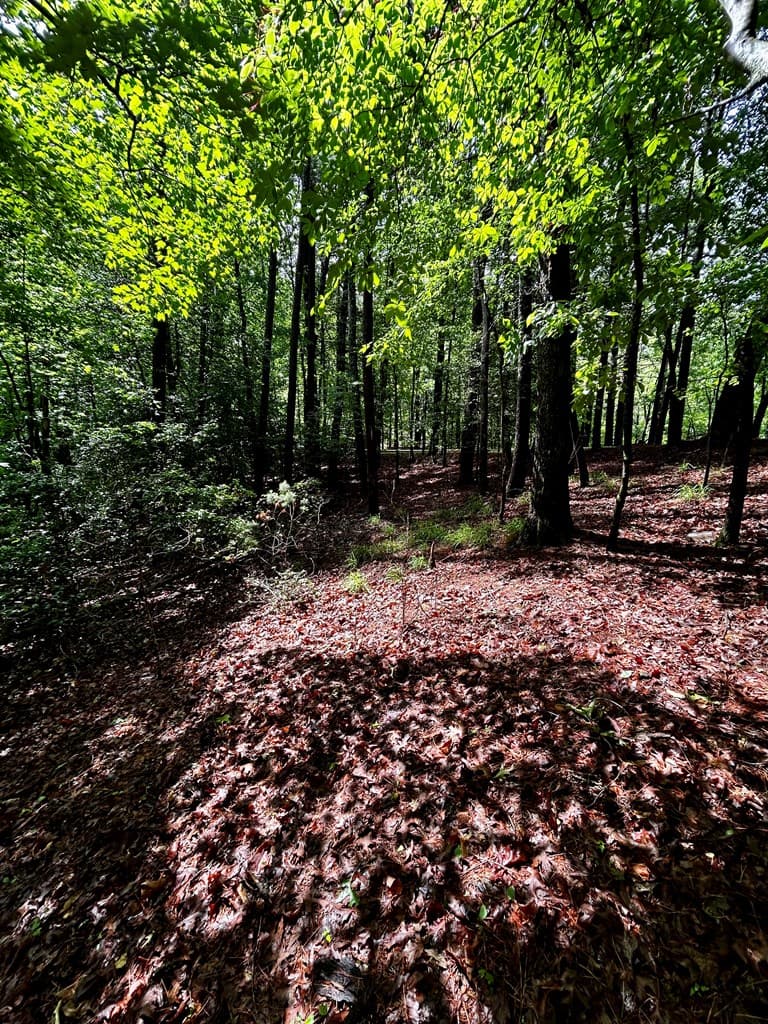 00 Lazy River Lane, Ellijay GA 30540 - Photo