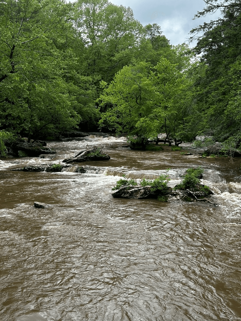00 Lazy River Lane, Ellijay GA 30540 - Photo