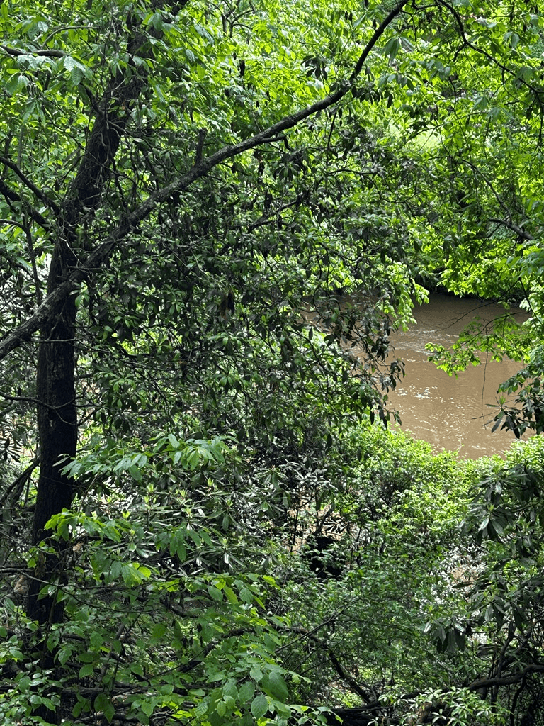 00 Lazy River Lane, Ellijay GA 30540 - Photo