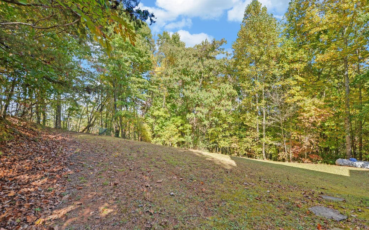 145 Lookout Drive, Blue Ridge GA 30513 - Photo